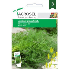 Seminte aromatice Marar Agromar Agrosel 5 g