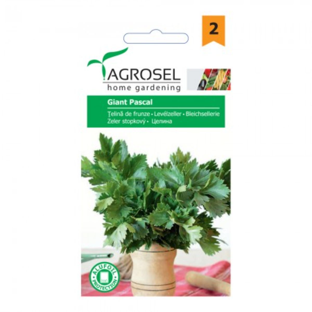 Seminte aromatice Telina de frunze Pascal Giant Agrosel 0.75 g