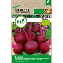 Seminte bio Sfecla rosie Detroit 2 ECO Agrosel 2,5 g