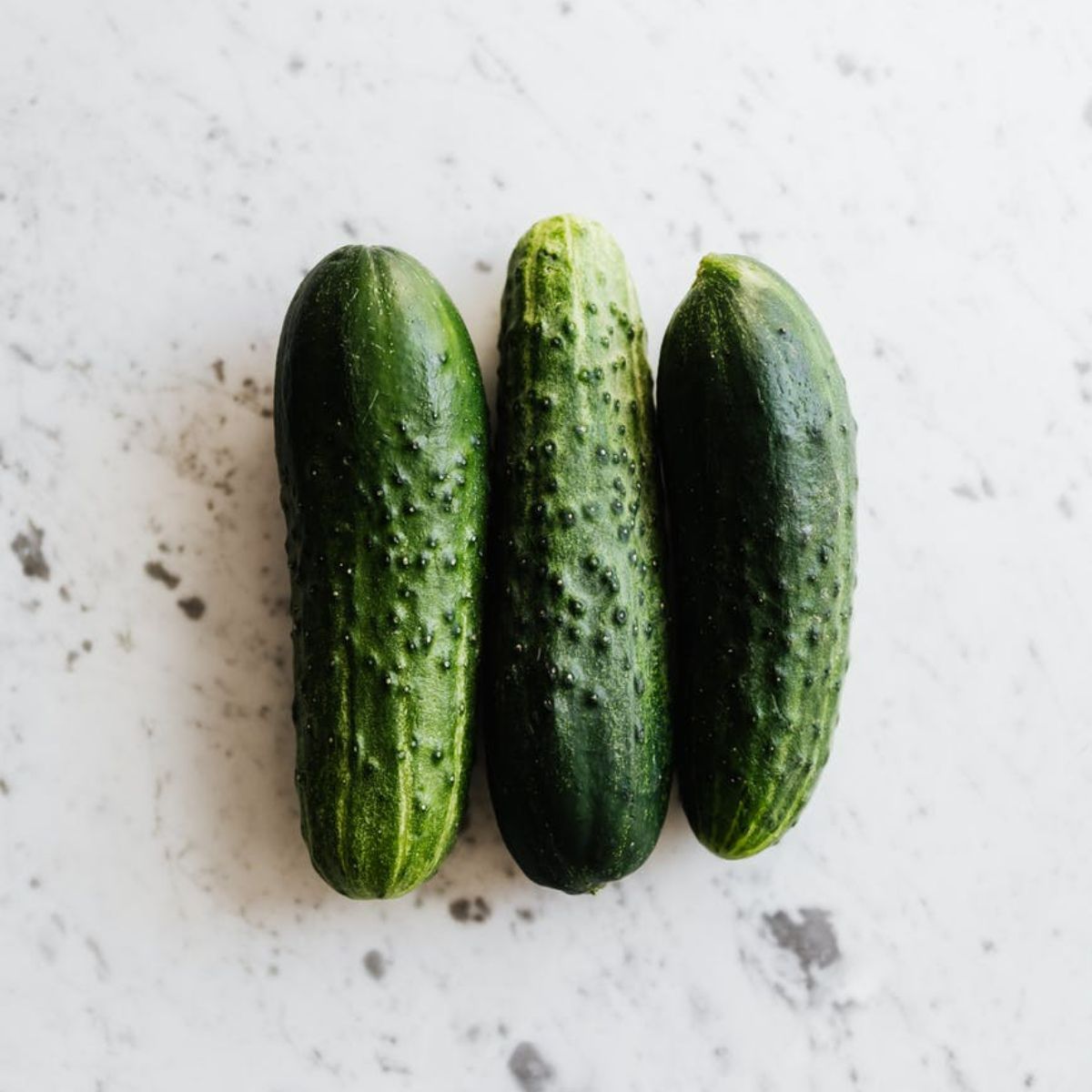 Seminte Castraveti cornichon PARIS NATIONAL Pop Vriend 10 g, 1, hectarul.ro