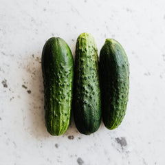 Seminte Castraveti cornichon PARIS NATIONAL Pop Vriend 10 g
