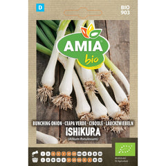 Seminte Ceapa Verde Blanc Ishikura BIO AMIA 0.3gr