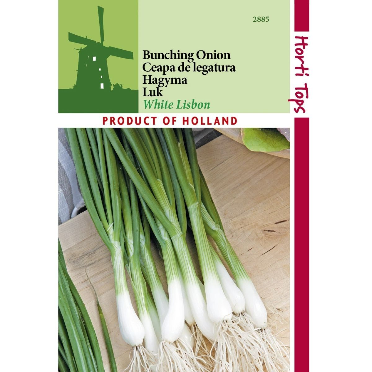 Seminte Ceapa WHITE LISBON Horti Tops 3 g, 1, hectarul.ro