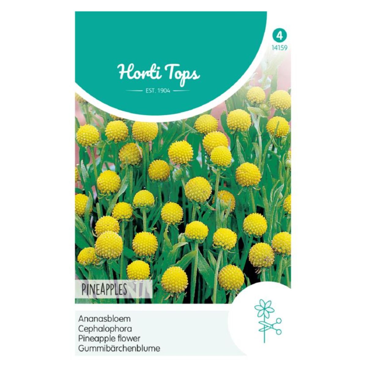 Seminte de Cephalophlora (floare ananas), 0,1 grame, Hortitops