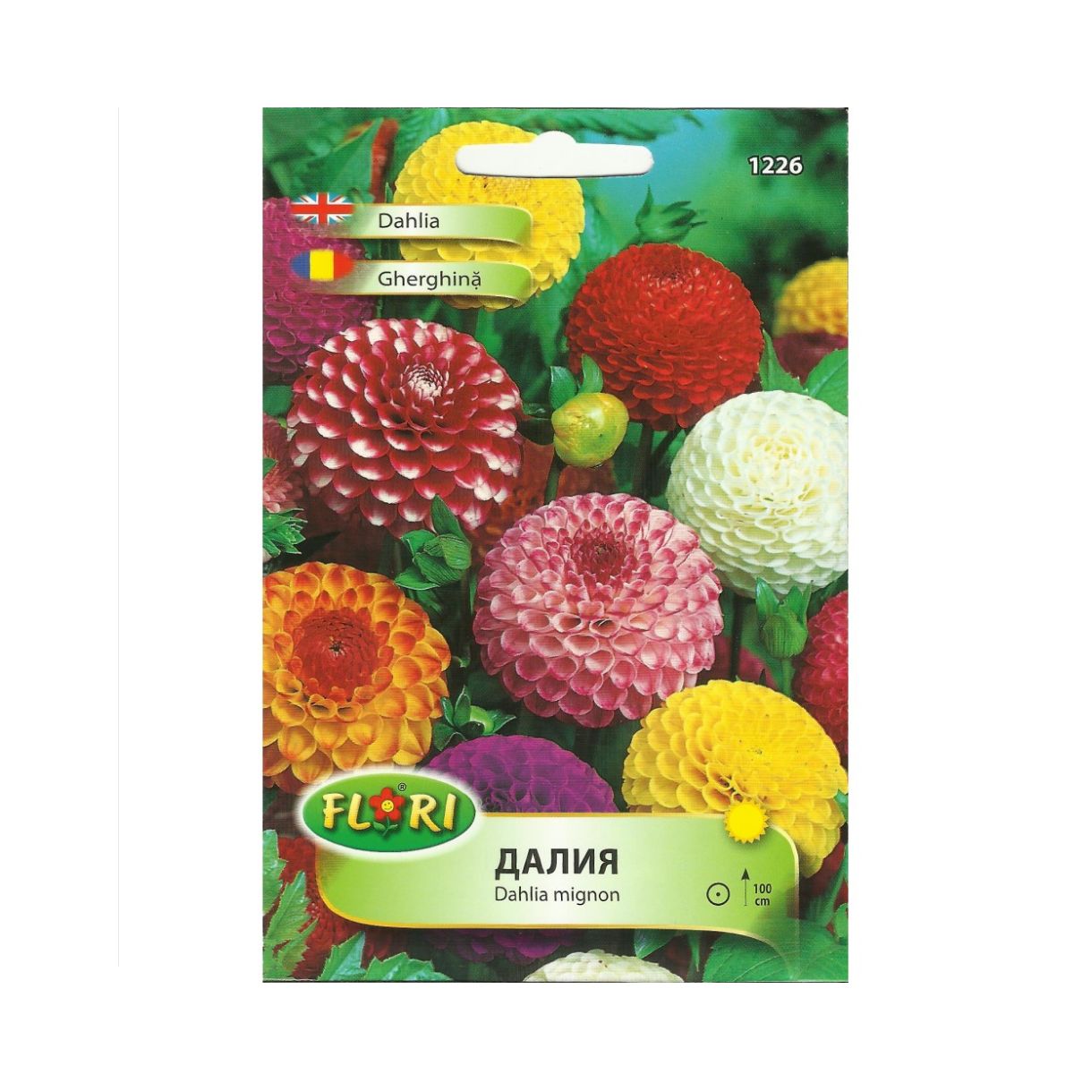 Seminte de Dalie (Gherghina) pompon mix, 0.5 grame FLORIAN, 1, hectarul.ro