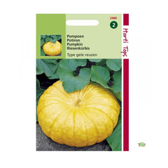 Seminte de dovleac pentru copt Yellow Paris, 5 grame