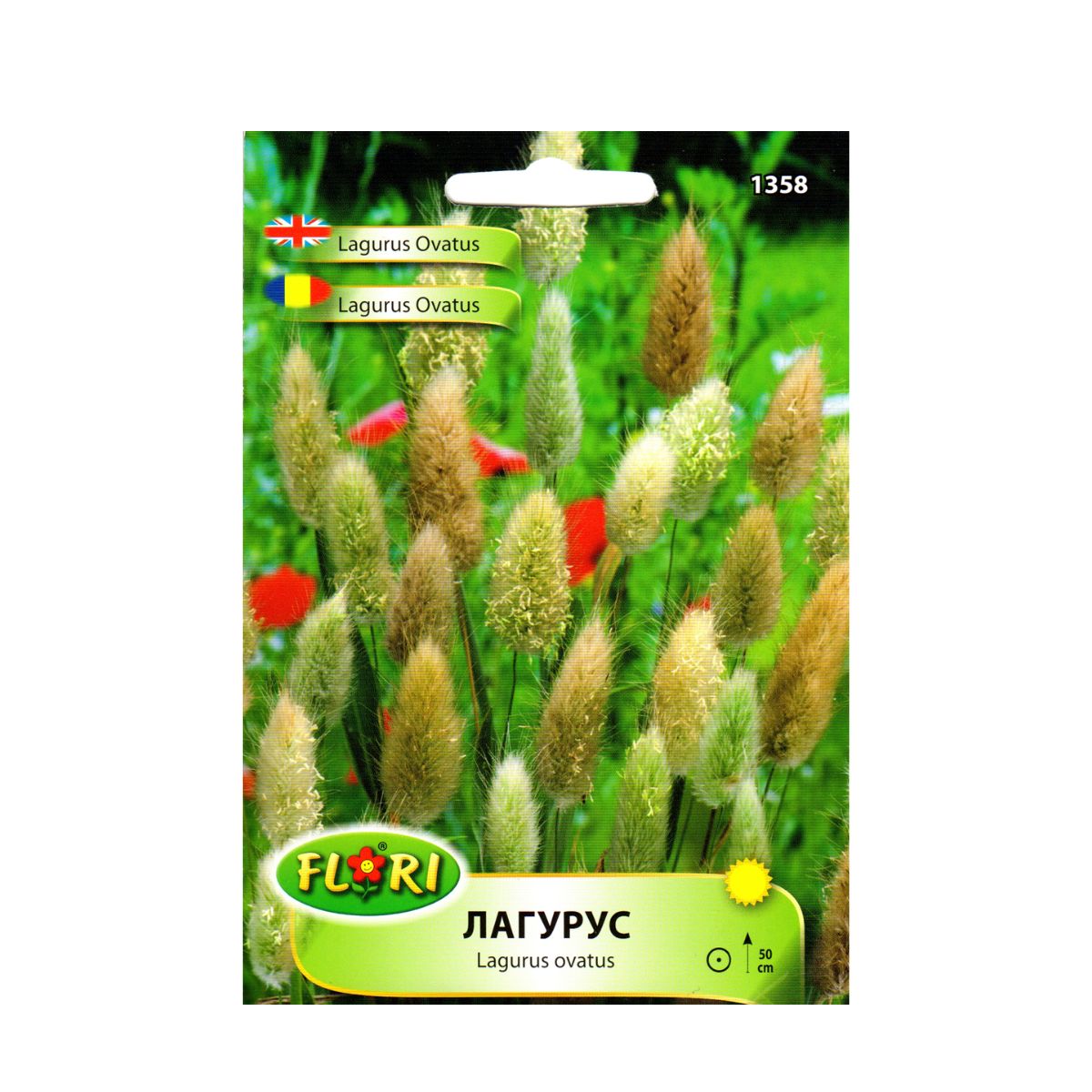 Seminte de Lagurus (coada iepurelui), 5g FLORIAN, 1, hectarul.ro