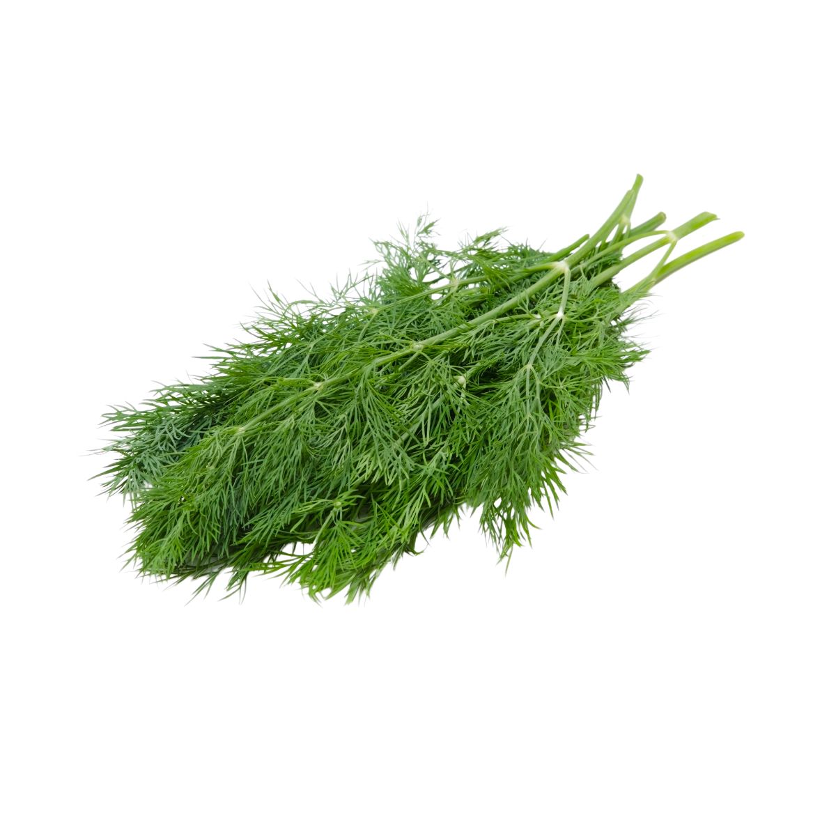 Seminte de marar comun, 50 grame, 1, hectarul.ro