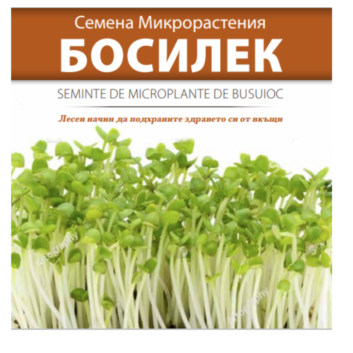 Seminte de Microplante de Busuioc- 3 g