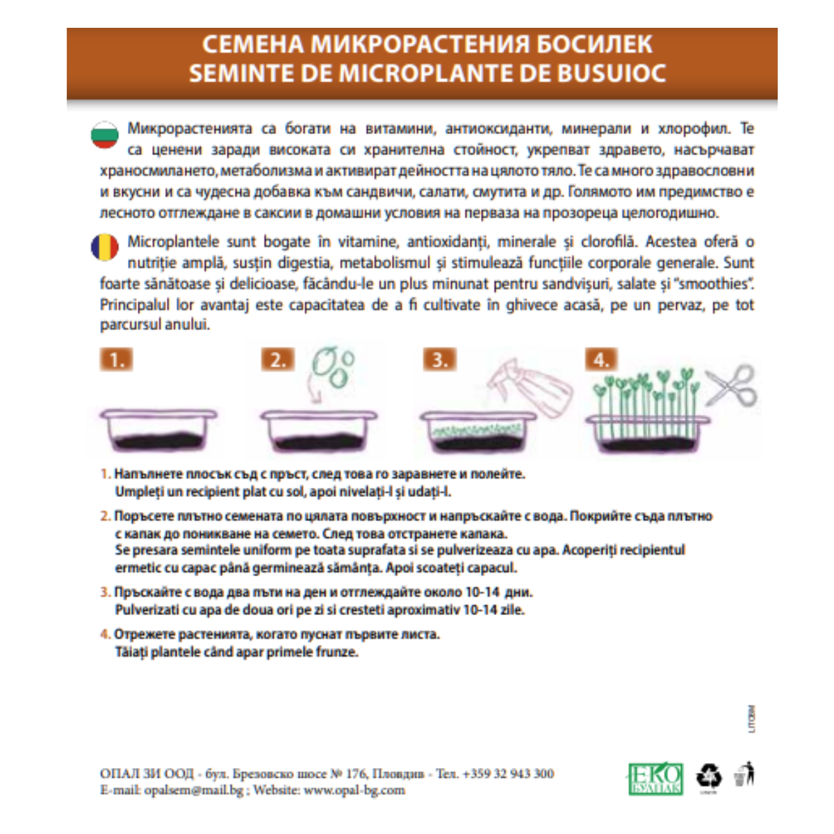 Seminte de Microplante de Busuioc- 3 g