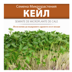 Seminte de Microplante de Cale- 3 g