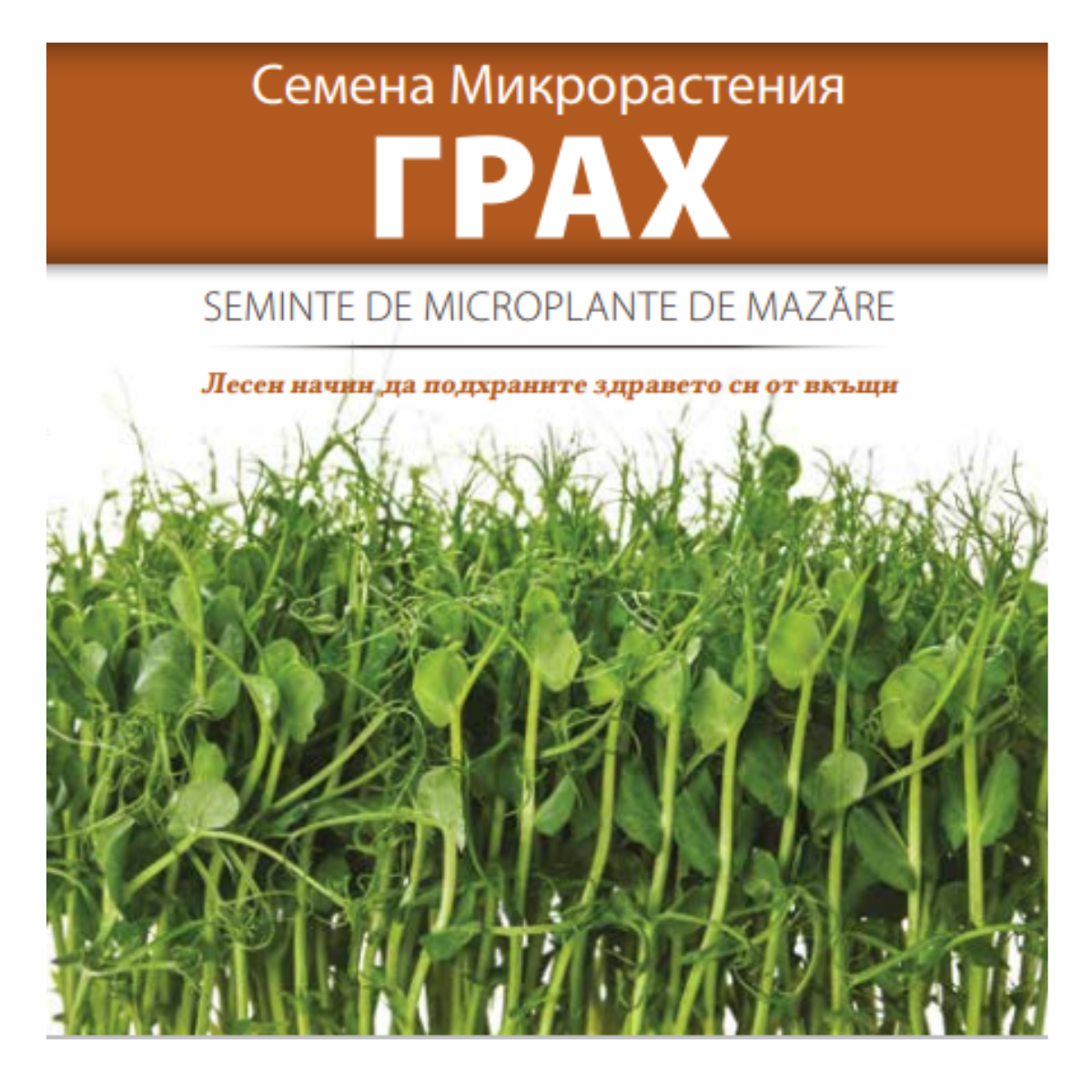 Seminte de Microplante de Mazare- 20 g, 1, hectarul.ro