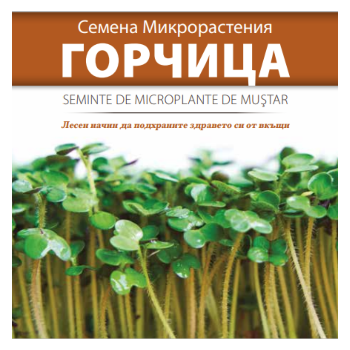Seminte de Microplante de Mustar- 3 g