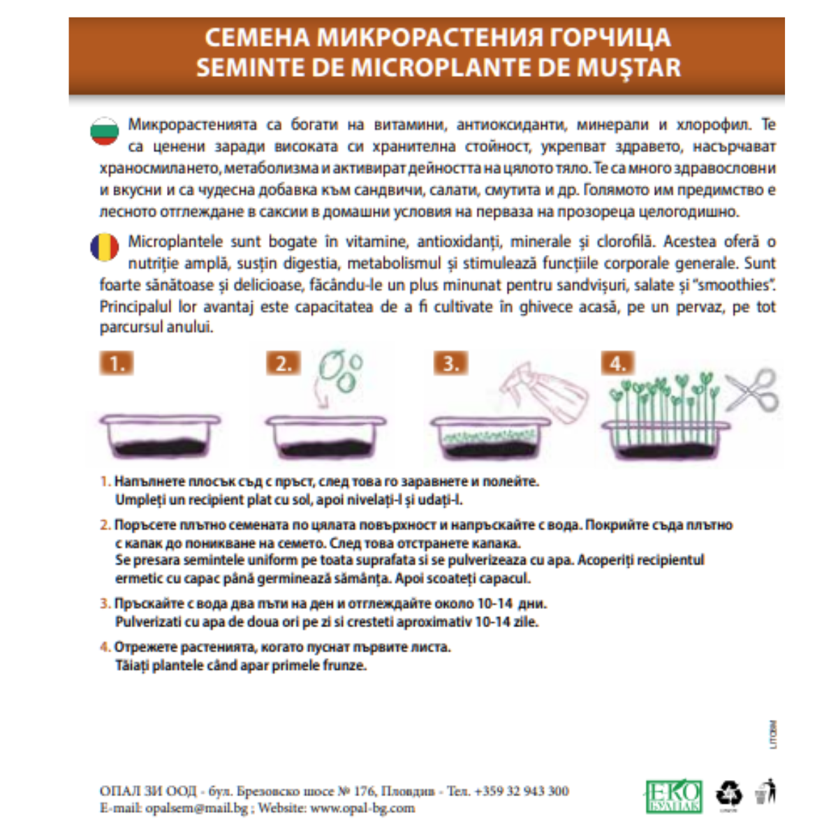 Seminte de Microplante de Mustar- 3 g