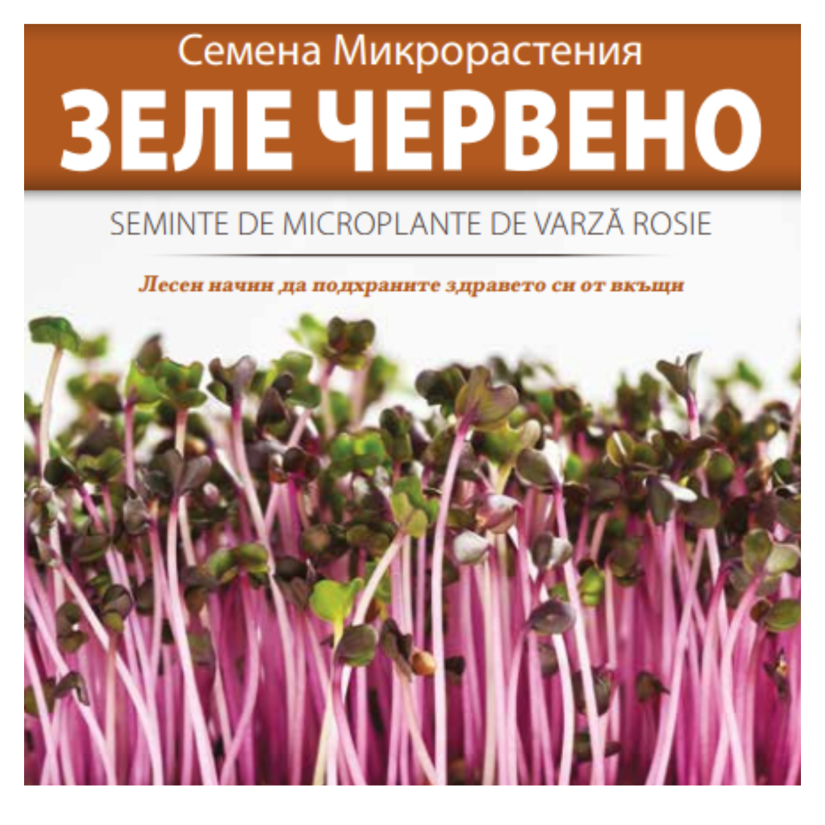 Seminte de Microplante de Varza rosie- 3 g
