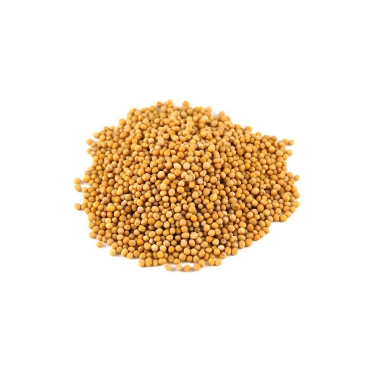 Seminte de MUSTAR, 1 kg, KERTIMAG