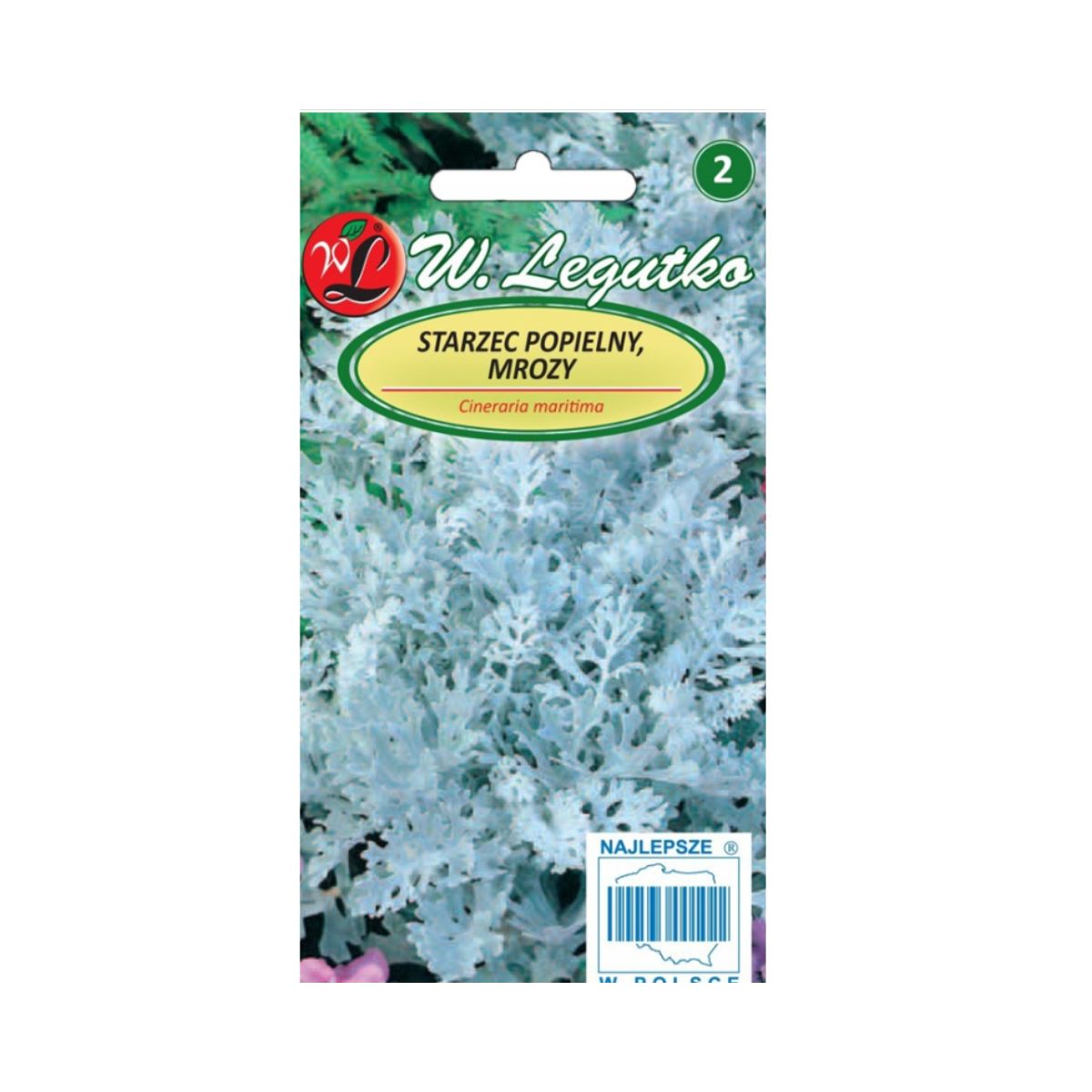 Seminte de planta argintie, 0,2 gr, LEGUTKO, 1, hectarul.ro