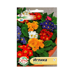 Seminte de Primula, 0,5 grame OPAL
