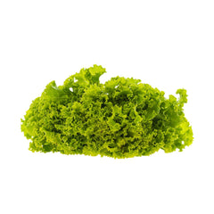 Seminte de salata Lollo Bionda, 2 grame