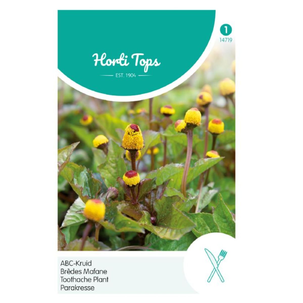 Seminte de Spilanthes, 0,08 grame, Hortitops, 1, hectarul.ro