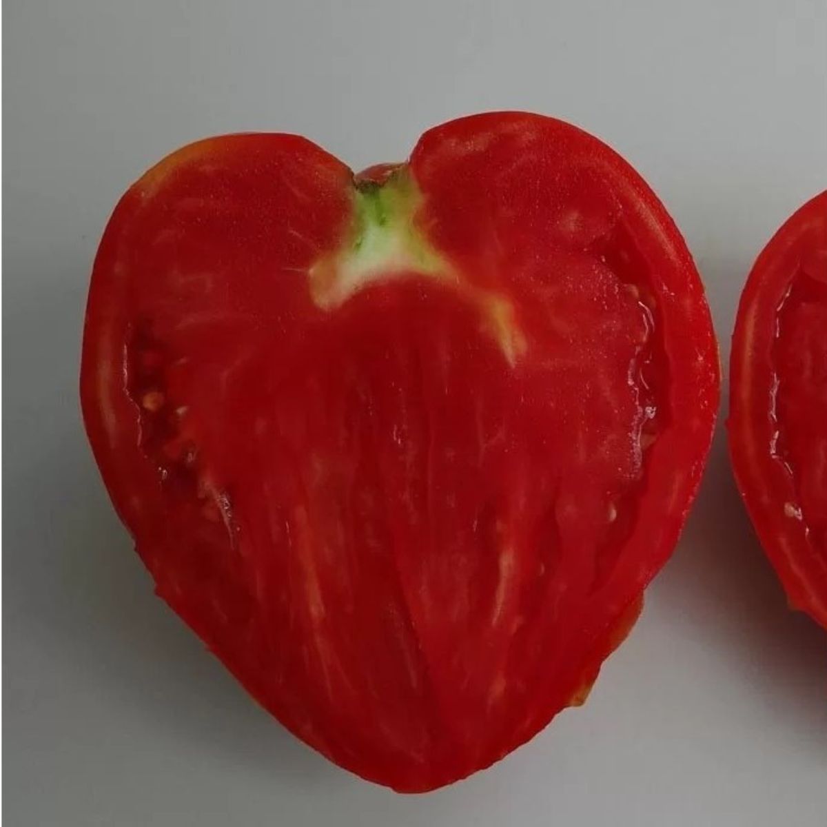Seminte de tomate ANDRADA (inima de bou), 2 grame, 2, hectarul.ro