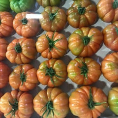 Seminte de tomate BOCAMEGRA F1, 100 seminte, YUKSEL