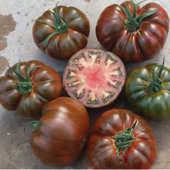Seminte de tomate BUCANERO F1, 250 seminte, YUKSEL