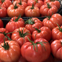 Seminte de tomate LEROXY F1, 500 seminte, YUKSEL