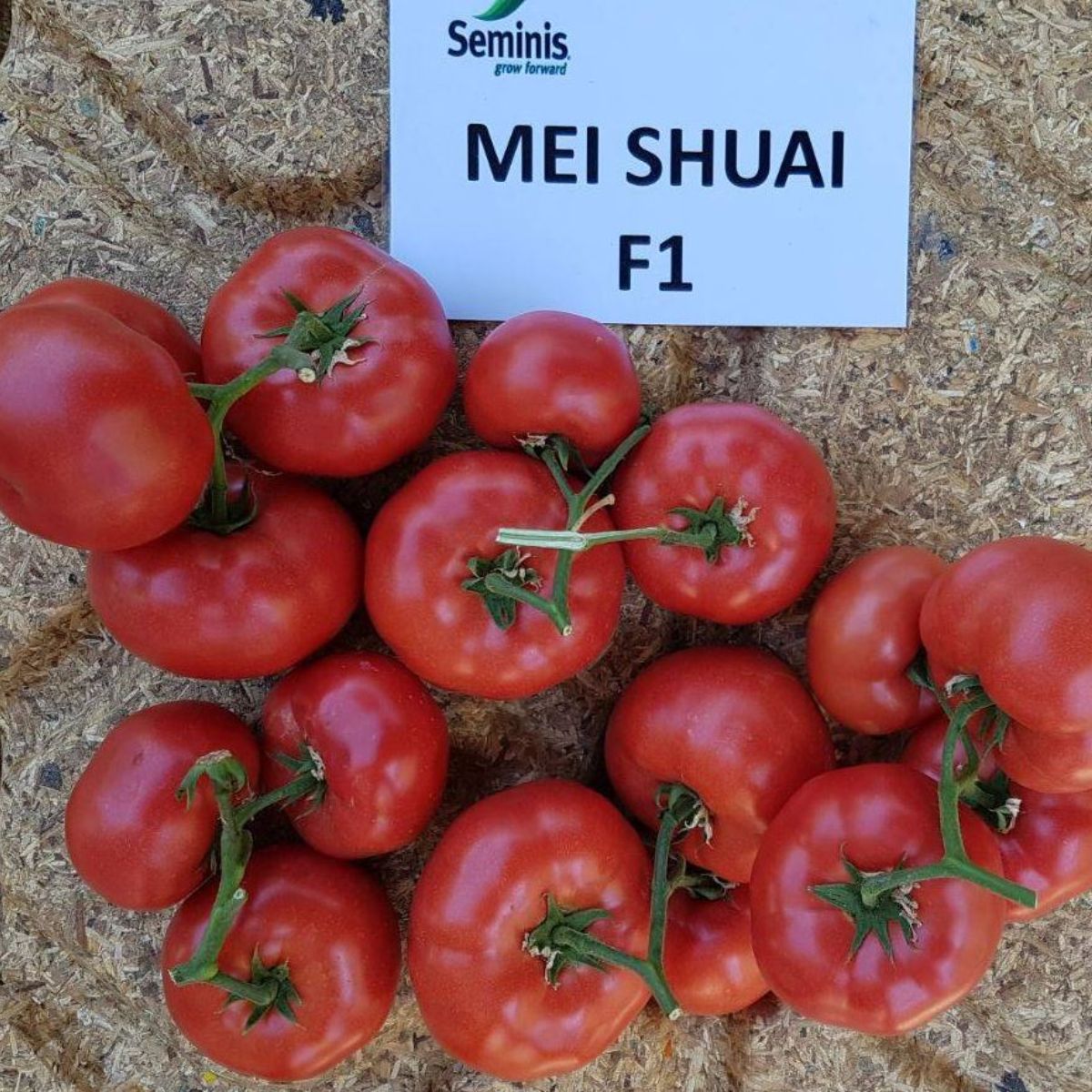 Seminte de tomate Mei Shuai F1, 100 seminte, 1, hectarul.ro