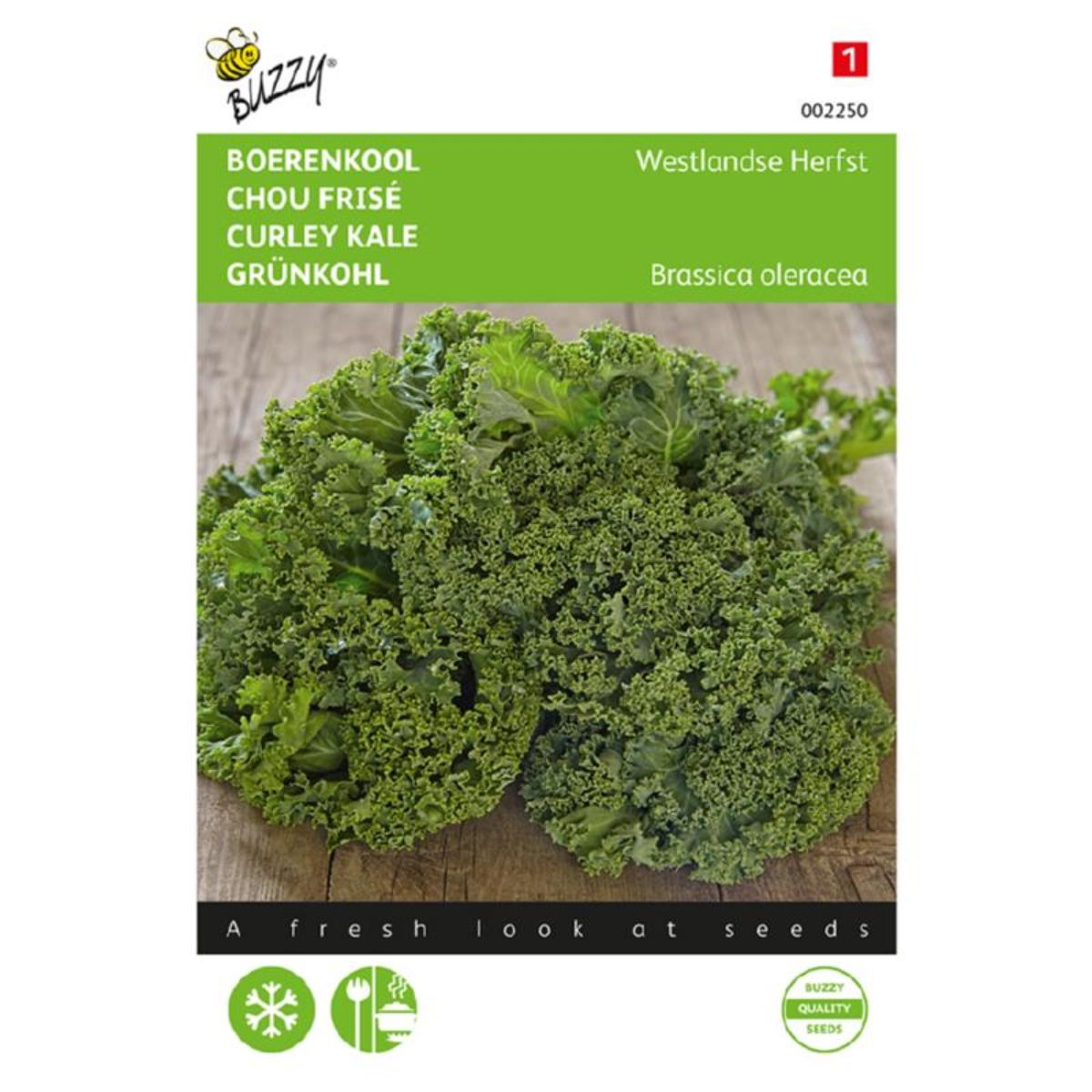 Seminte de varza Kale Westland, 3 grame, BUZZY