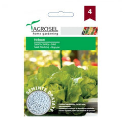 Seminte drajate Salata Helmut Agrosel 500 sem