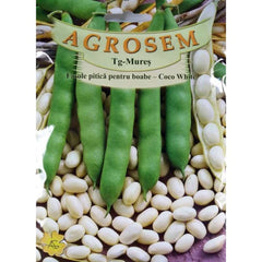 Seminte Fasole pitica boabe Coco White TRATAT  AGROSEM 25 kg