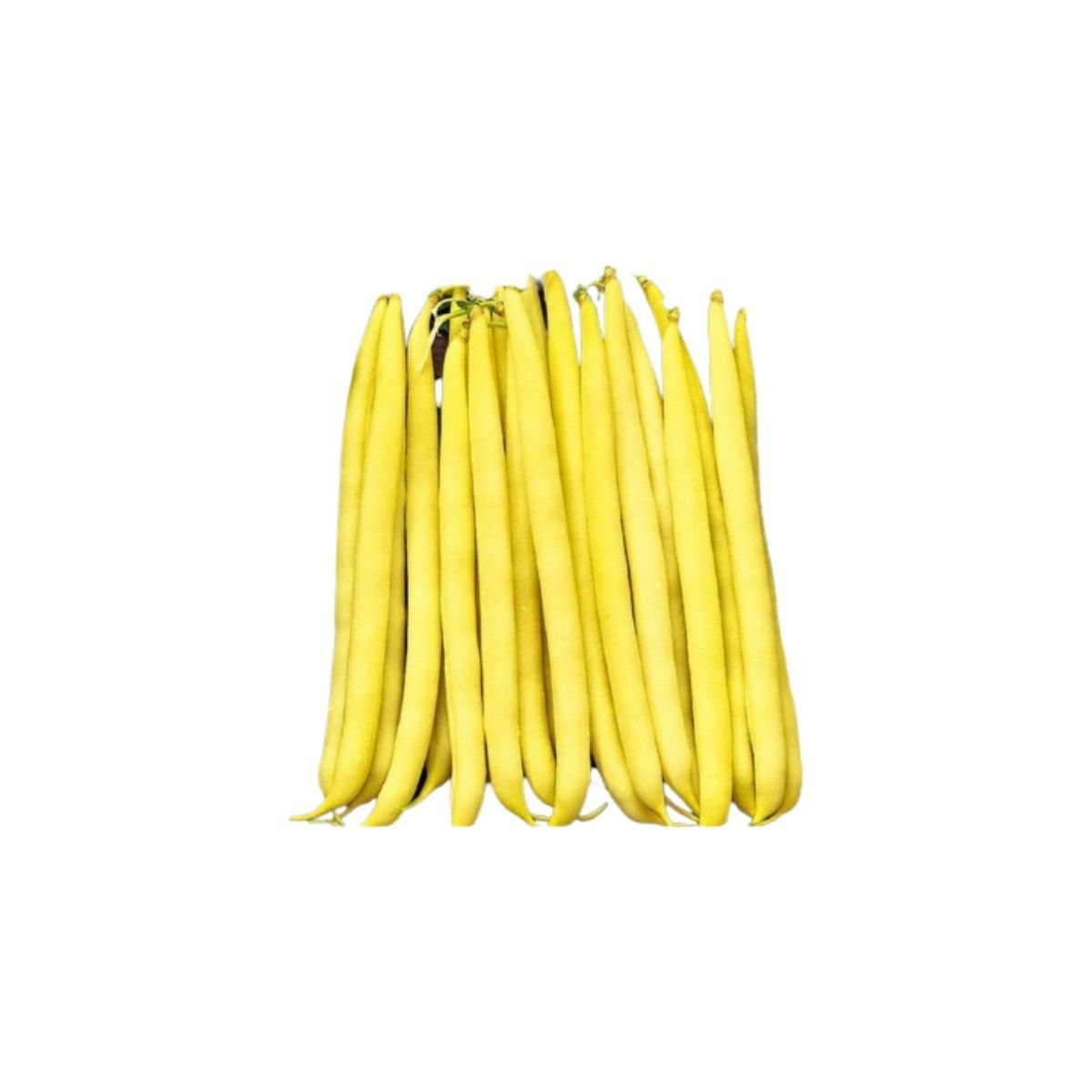 Seminte Fasole pitica galbena GONDOLA Pop Vriend 100 g