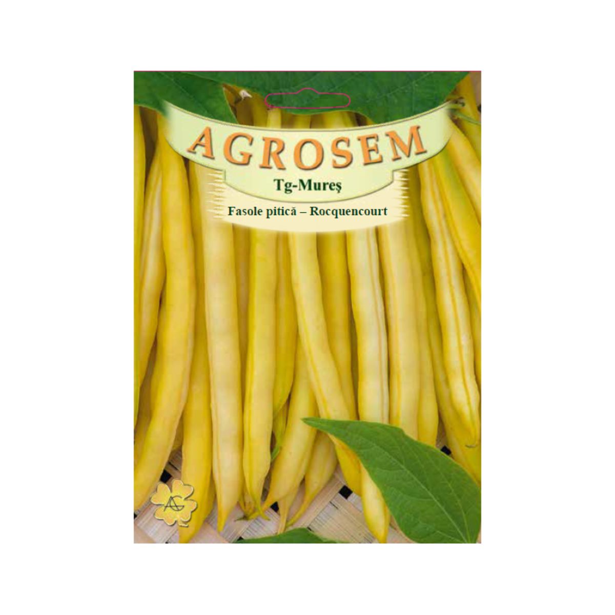 Seminte Fasole pitica  galbena rotunda Rocquencourt TRATAT AGROSEM 200 g, 1, hectarul.ro