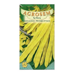 Seminte Fasole urcatoaregalbena lata Meraviglia Di Venezia TRATAT AGROSEM 40 g