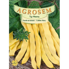 Seminte Fasole  urcatoare   galbena lata Golden Mary  TRATAT AGROSEM 50 g