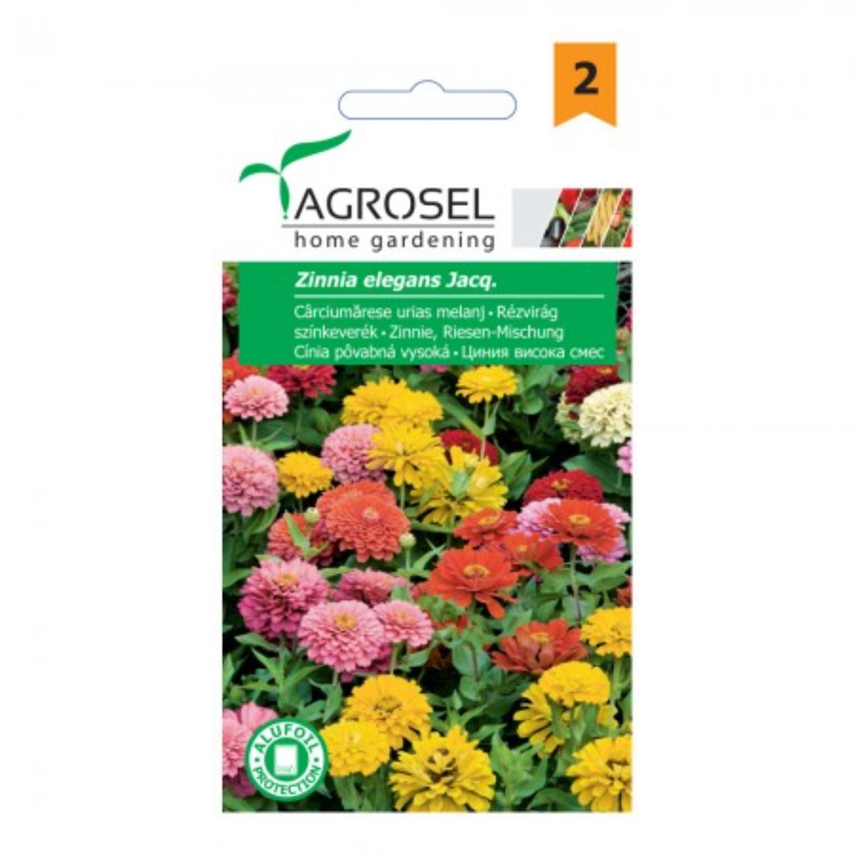 Seminte flori Carciumarese urias melanj Agrosel 2 g, 1, hectarul.ro