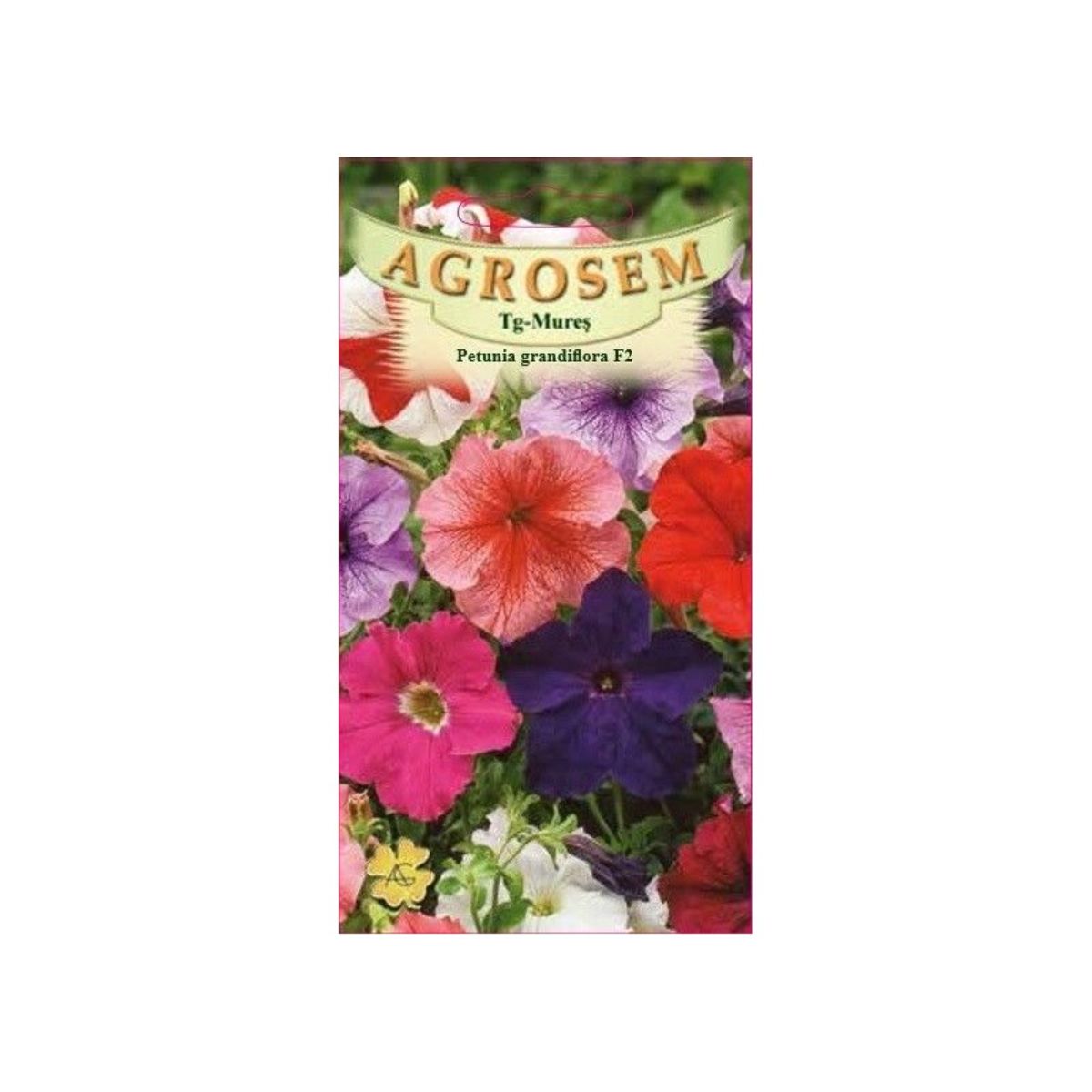Seminte Flori Petunia H. Grandiflora F2  AGROSEM 0.01 g, 1, hectarul.ro