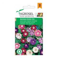 Seminte flori Zorele melanj Agrosel 2 g