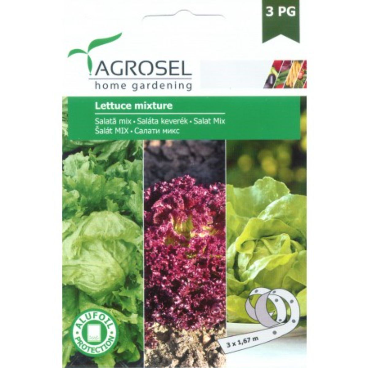 Seminte Mix Salata (Lollo R., Great Lakes, May King) Agrosel banda, 1, hectarul.ro