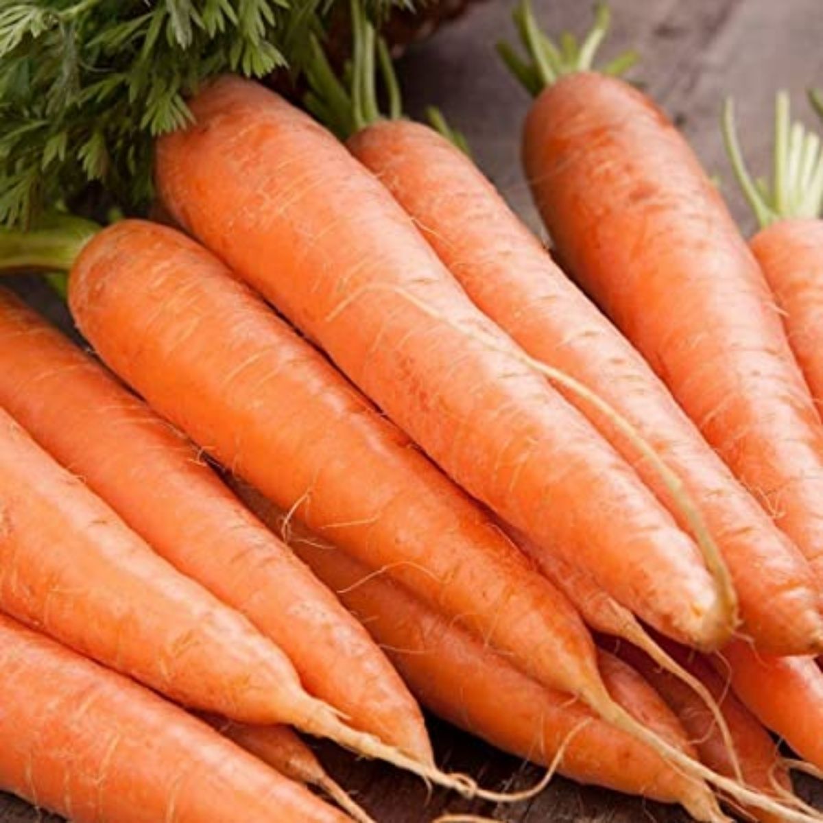 Seminte Morcovi NANTES Pop Vriend 50 g, 1, hectarul.ro