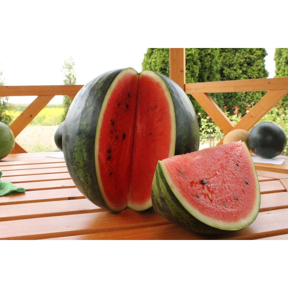 Seminte Pepene verde Burebista F1 100 sem (tip Crimson Sweet) HEKTAR 100 sem