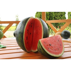Seminte Pepene verde Burebista F1 100 sem (tip Crimson Sweet) HEKTAR 100 sem