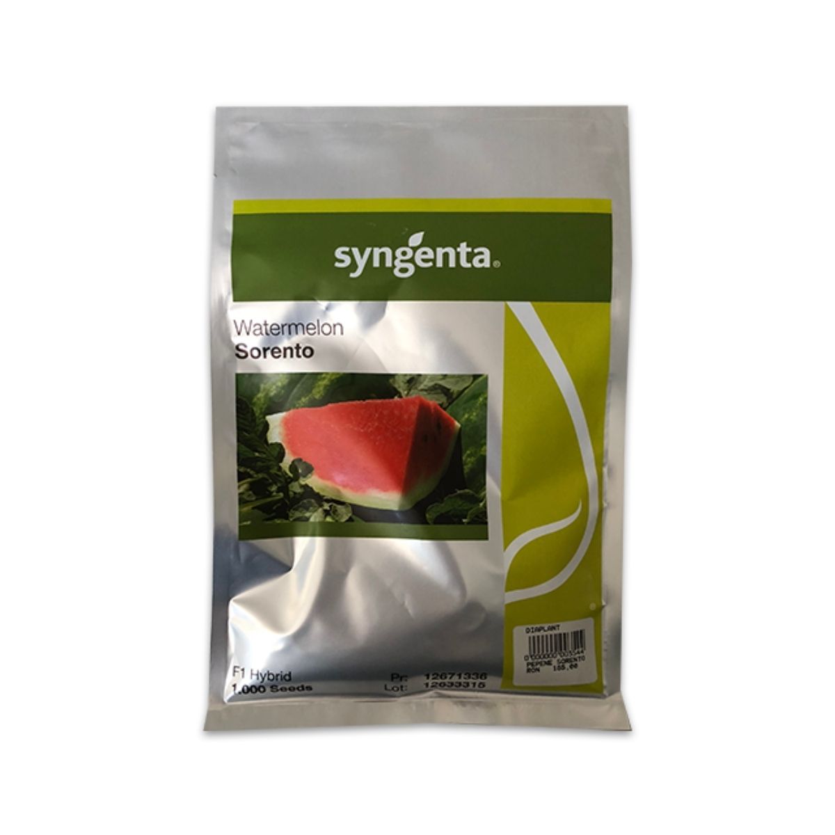 Seminte Pepeni Verzi SORENTO F1 Syngenta 1000 sem