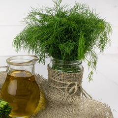 Seminte Plante aromatice MARAR Horti Tops 3  g