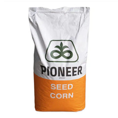 Seminte porumb PIONEER P8812, FAO 240, sac 80.000 boabe