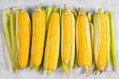 Seminte Porumb zaharat Accentuate F1 - 2.500 sem, HEKTAR SEEDS