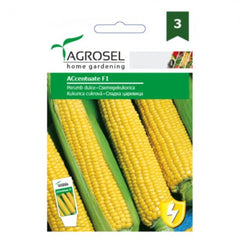 Seminte Porumb Zaharat Accentuate F1 Agrosel 40 sem