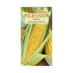 Seminte Porumb zaharat Deliciosul  AGROSEM 100 g