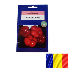 Seminte romanesti de gogosar SPLENDENS, 5 gr, SCDL BUZAU